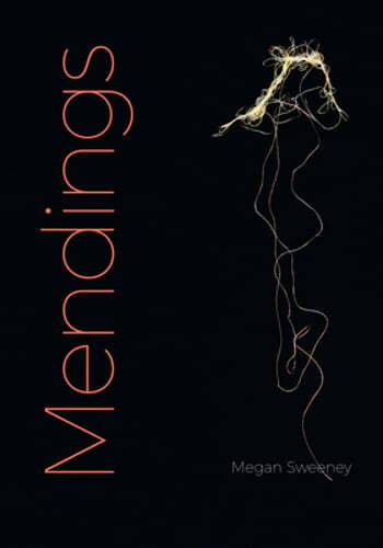 Mendings by Megan Sweeney: Used