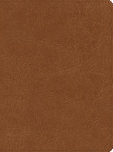 CSB He Reads Truth Bible Saddle LeatherTouch Indexed Edition for Men by Holman