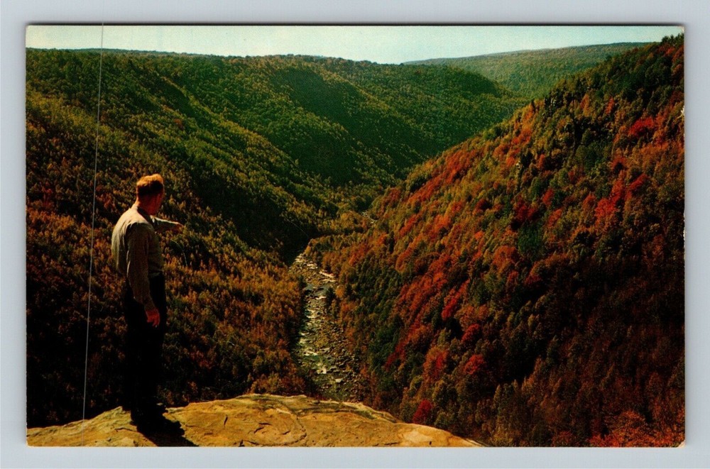 Davis WV-West Virginia Scenic Autumn View, Blackwater Canyon Vintage Postcard