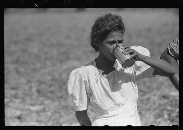 Photo:Guanica Puerto Rico 1942 Sugar Field Wife of Farm Laborer Drinking