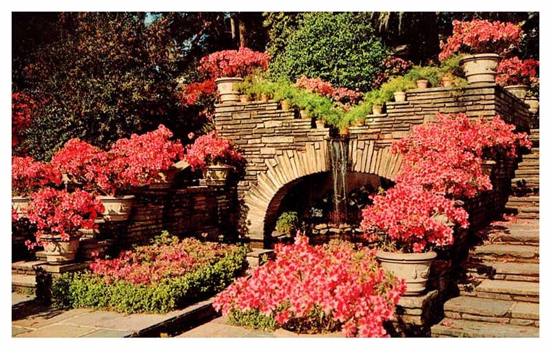 Postcard GARDEN SCENE Mobile Alabama AL m/09 AQ4797