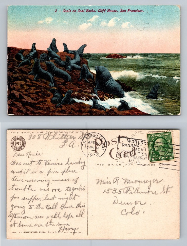 San Francisco, CA-California, Seals on Seal Rocks Cliff House Vintage Postcard