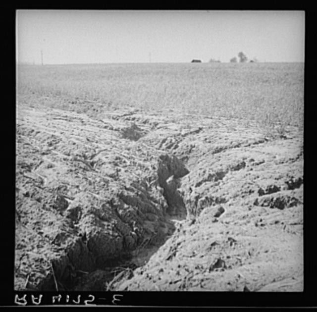 Erosion,Crawford County,Kansas,KS,Farm Security Administration,May 1936,FSA