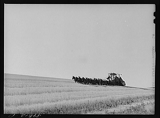 Eureka,Washington,WA,Walla Walla County,Farm Security Administration,1941,FSA,4