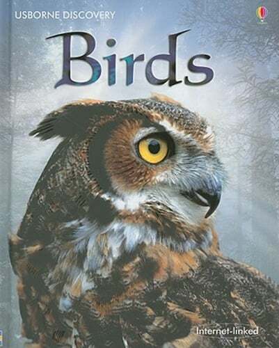 Birds: Internet-Linked by Gilllian Doherty: Used