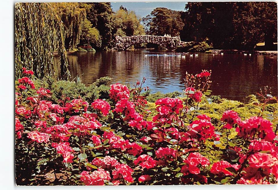 Postcard Beacon Hill Park Victoria BC Canada