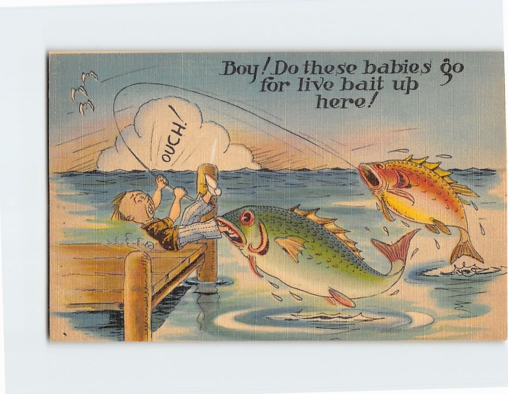Postcard Fishing Scene Joke/Humor Comic Art Print