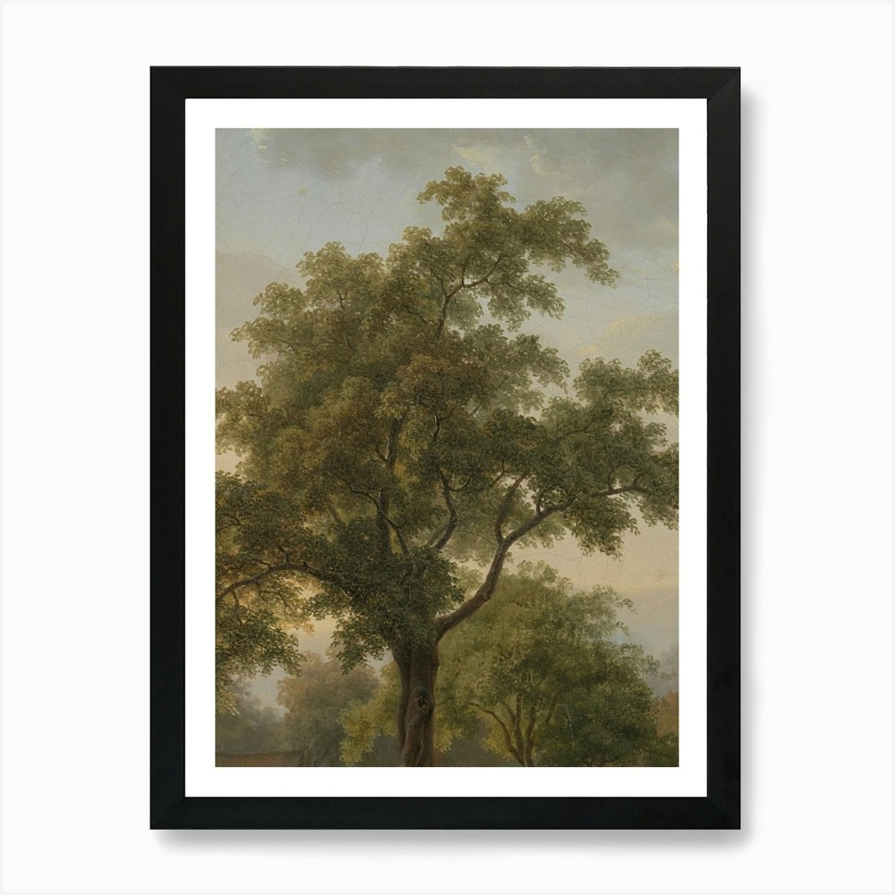 Tree In A Park Art Print Framed Wall Art Poster Canvas Print Picture