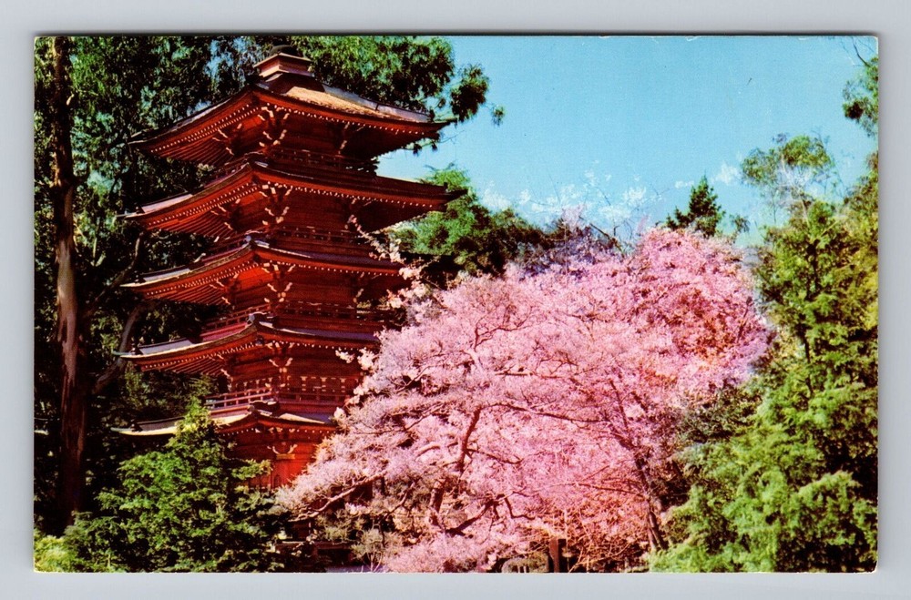 San Francisco CA-California Japanese Tea Garden the Pagoda Vintage Postcard
