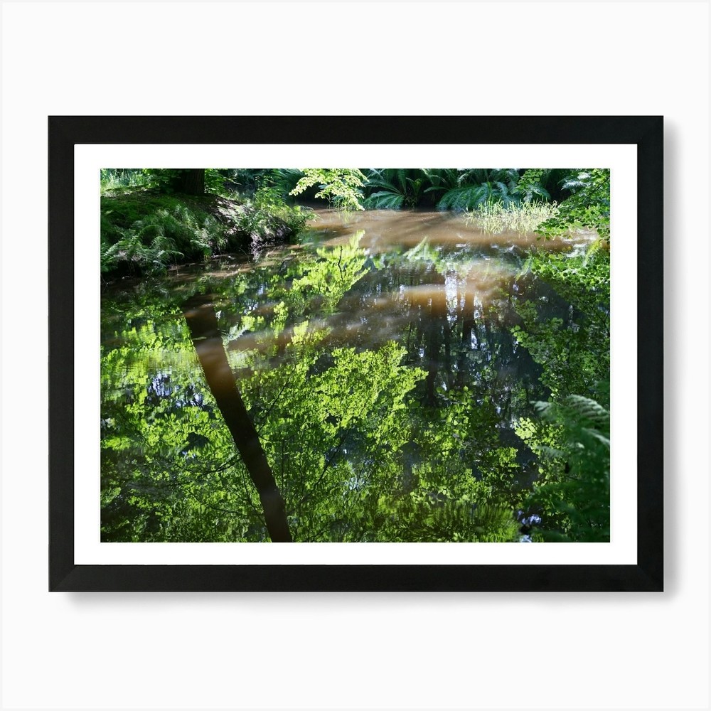 Serene Summer Tree Reflection Framed Wall Art Canvas Print