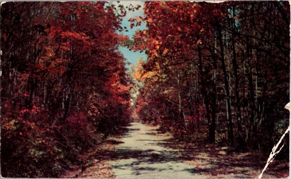 Port Washington New York NY : ROAD SCENE m/14 BG6211