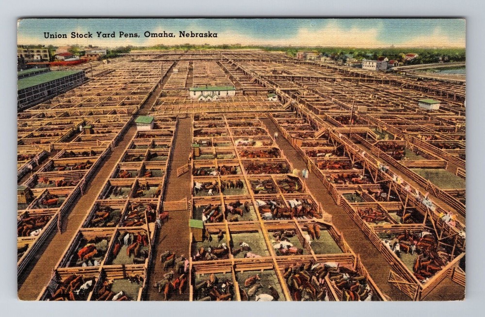 Omaha NE-Nebraska, Union Stock Yard Pens, c1941 Antique Vintage Postcard