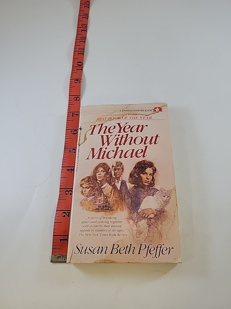 The Year Without Michael by Susan Beth Pfeffer PB