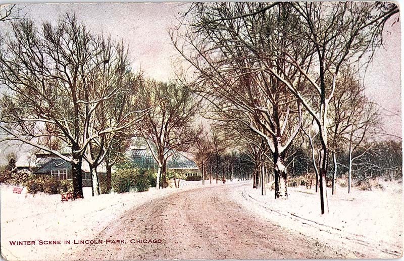 Postcard ROAD SCENE Chicago Illinois IL m/09 AJ2090