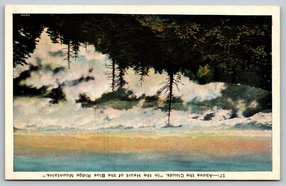 Vintage Blue Ridge Mountains Postcard 'Above the Clouds' Asheville NC