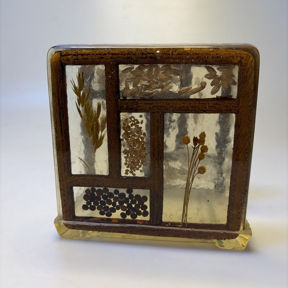 Vtg 1970s MCM Acrylic Lucite Napkin Resin Holder Dried Seeds Grains Flowers- bb