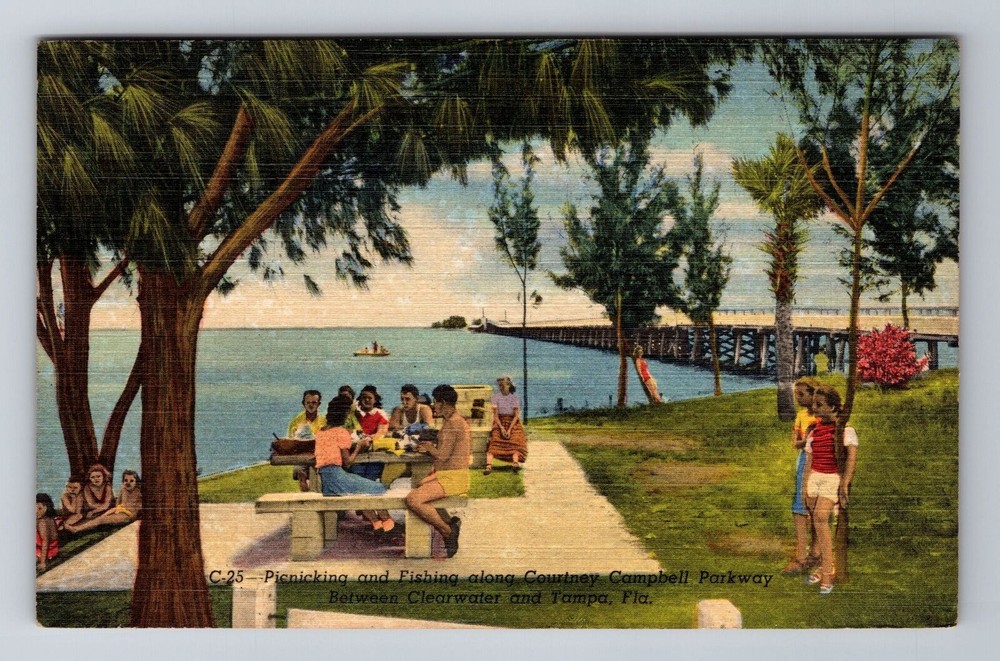 Tampa FL-Florida, Courtney Campbell Parkway, c1953 Antique Vintage Postcard