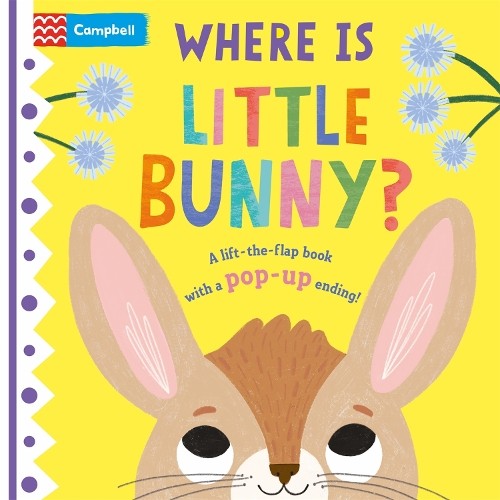 Campbell Books Where is Little Bunny? (Board Book) Where Is?Another great item from Rarewaves USA | Free delivery!