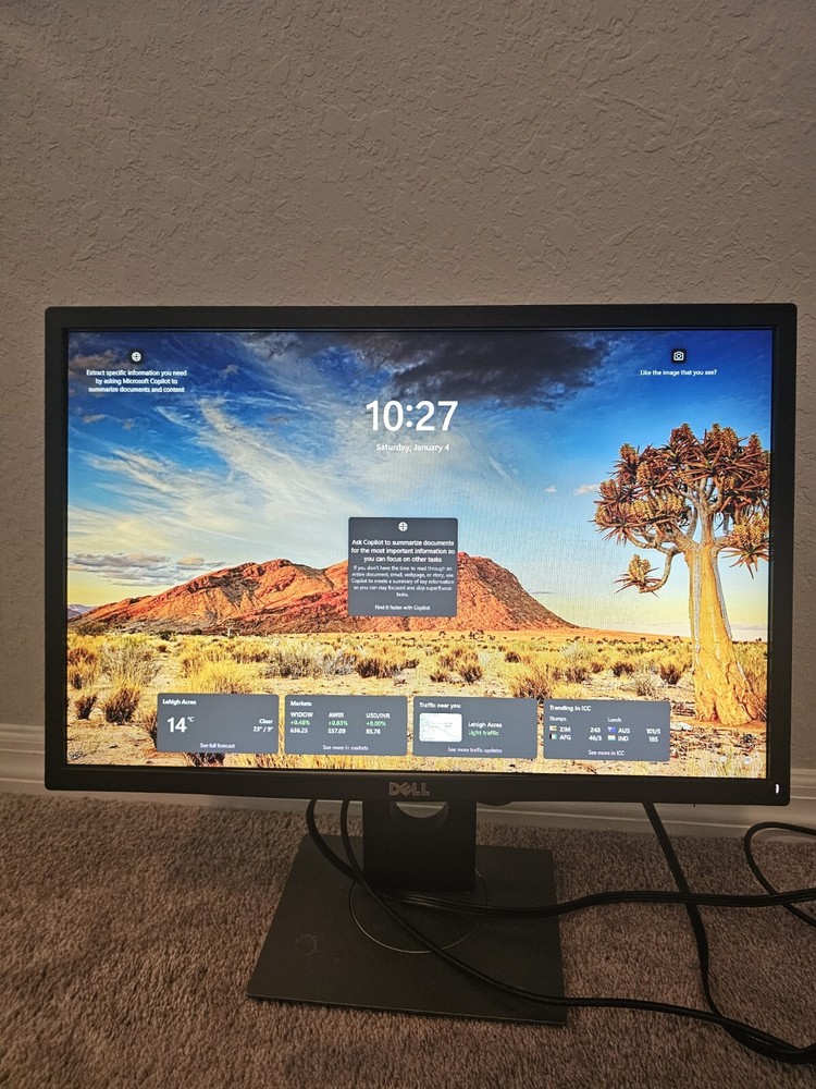 Dell P2219H 21.5 in. Full HD 1920 X 1080 LED LCD IPS Monitor