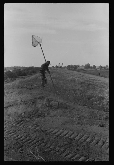 Photo:1930s Man with Net on Levee Rural Landscape