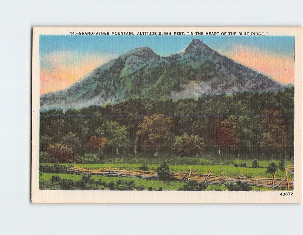 Postcard Grandfather Mountain 