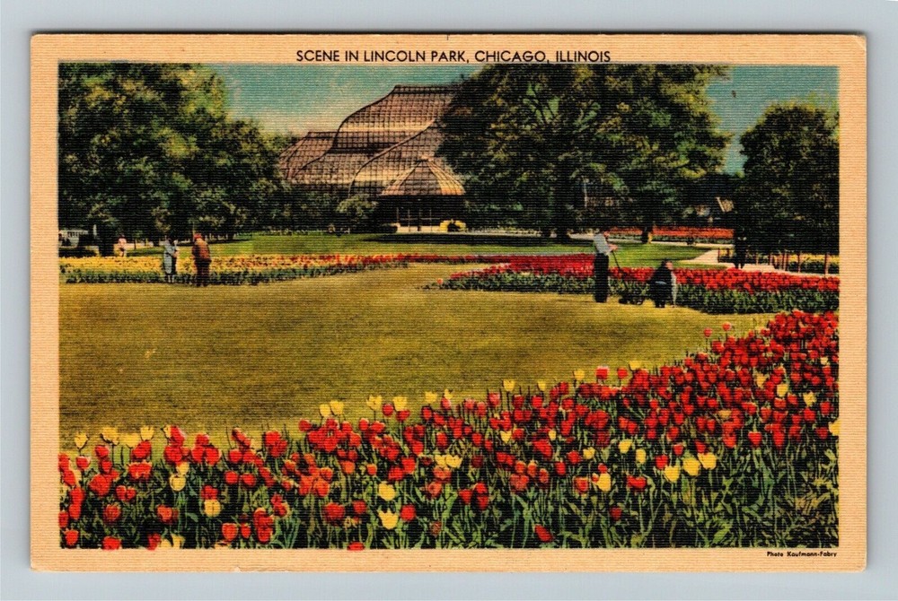 Chicago IL-Illinois, Scene In Lincoln Park, Vintage Postcard