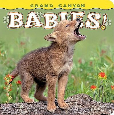 Grand Canyon Babies! - 9781560375074, photography by Lisa Husar, board book