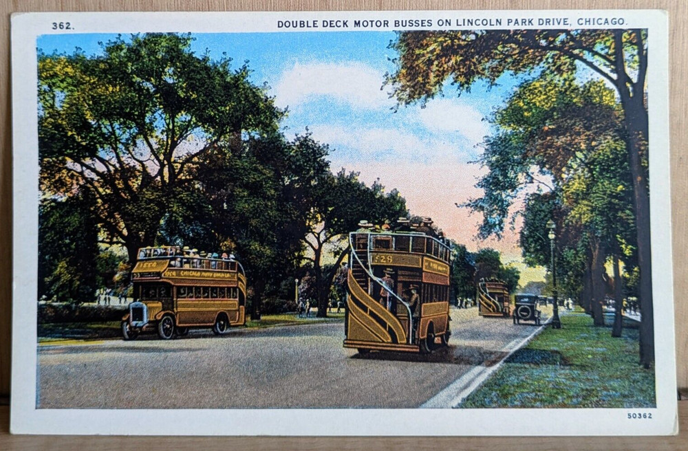 Chicago World’s Fair Double Deck Motor Bus Lincoln Park Drive 1933 Postcard