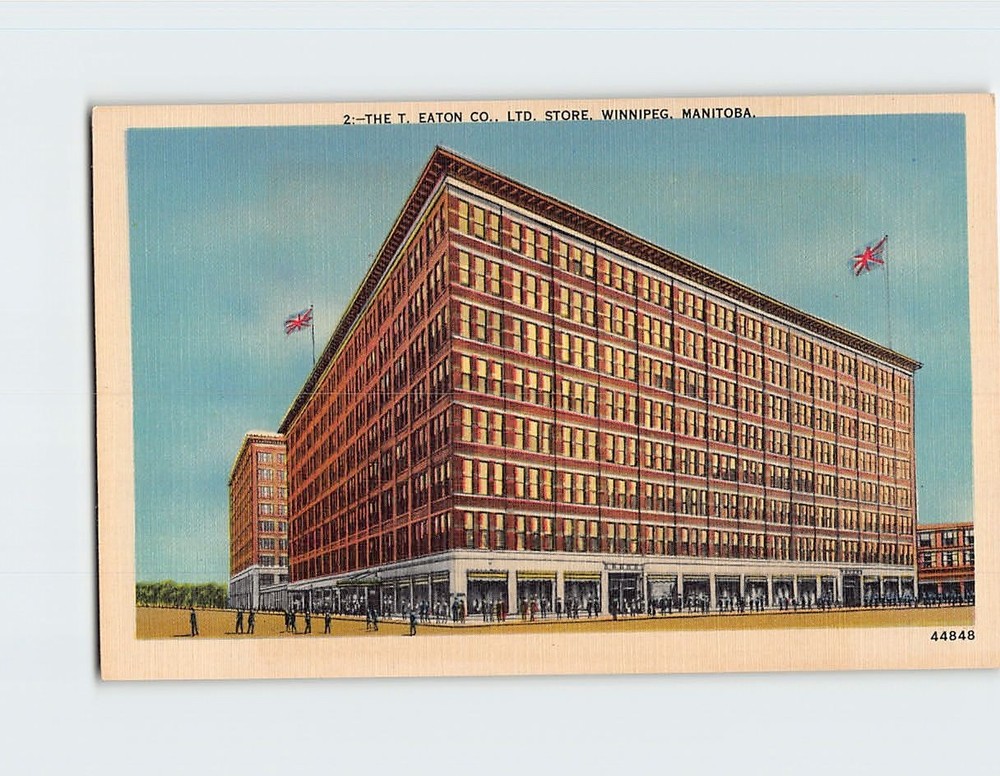 Postcard The T. Eaton Co. Ltd. Store Winnipeg Canada