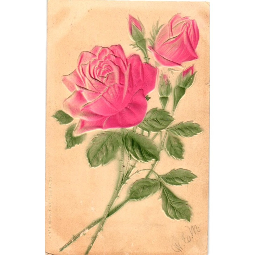 Antique Embossed Pink Rose Postcard 1908 P Sander NY Signed WEM Franklin Stamp