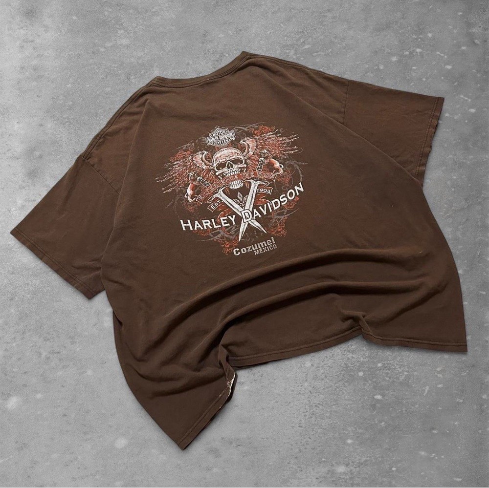 Y2K Faded Brown Harley-Davidson Cozumel Tee Shirt Men's