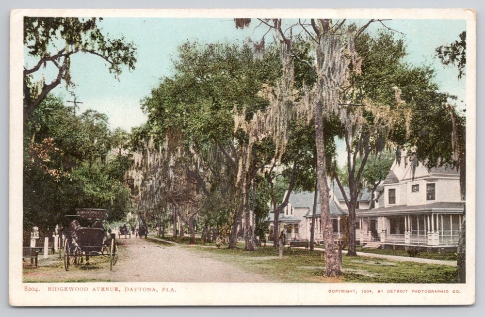 1904 Ridgewood Avenue Daytona Florida Spanish Moss Horse Carriage Postcard