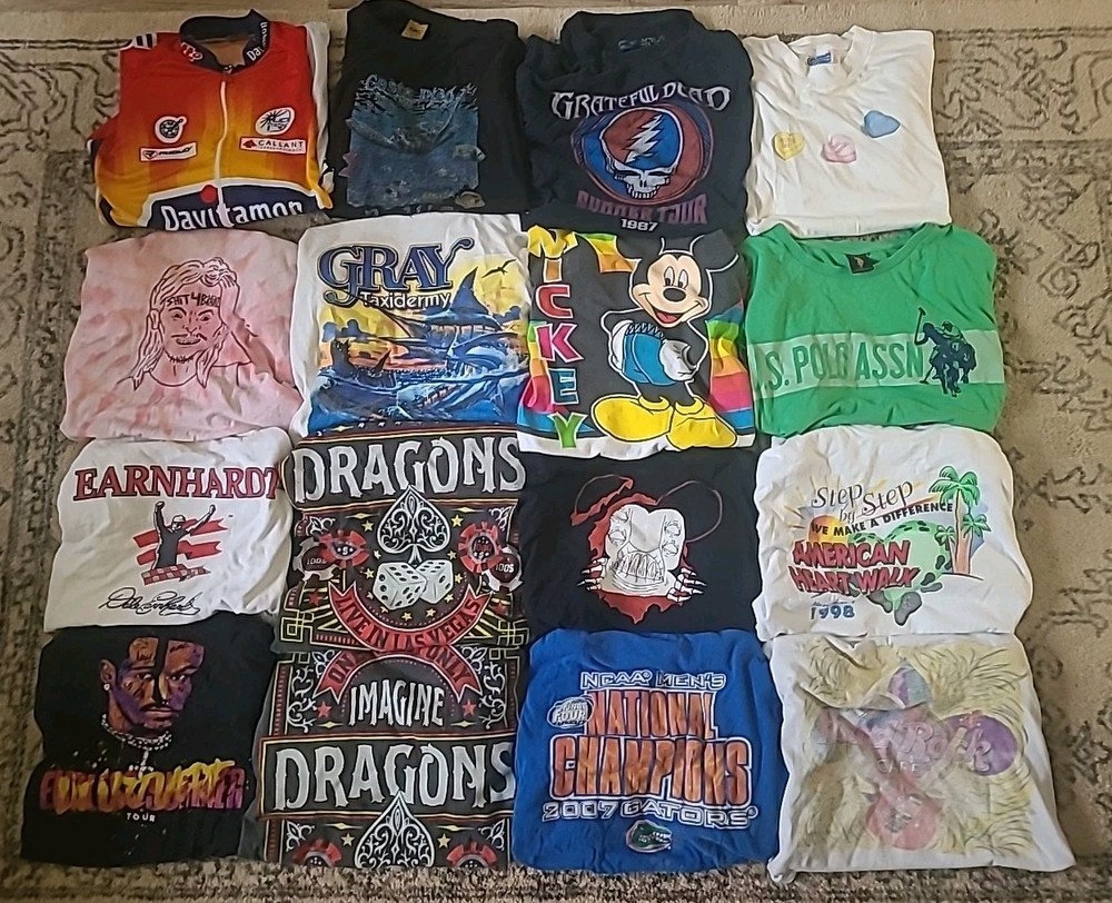 Lot Of 16 Vintage TShirts Bundle Y2k 90s Reseller VTG NCAA Disney Nascar Concert