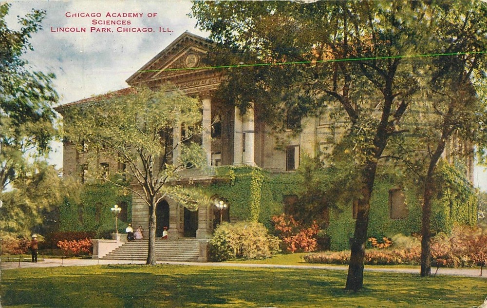 c1910 Academy of Sciences, Lincoln Park, Chicago, Illinois Postcard-image