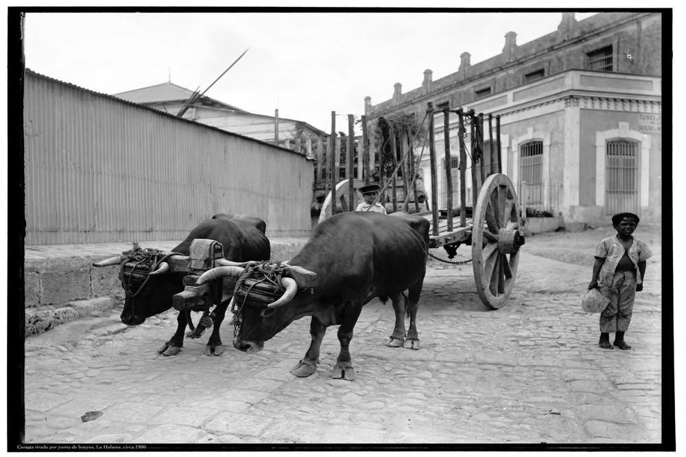 Decoration Poster print.Wall art decor.Home interior.1900 Cuba B&W Photo.11206