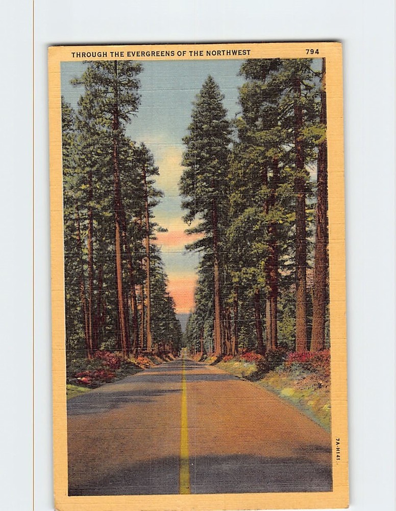 Postcard Through the Evergreens of the Northwest