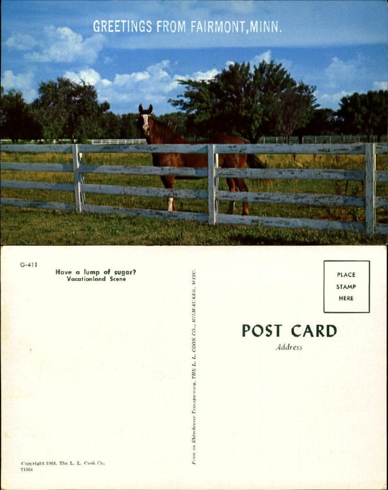 Greetings from Fairmont Minnesota MN horse pasture chrome unused postcard