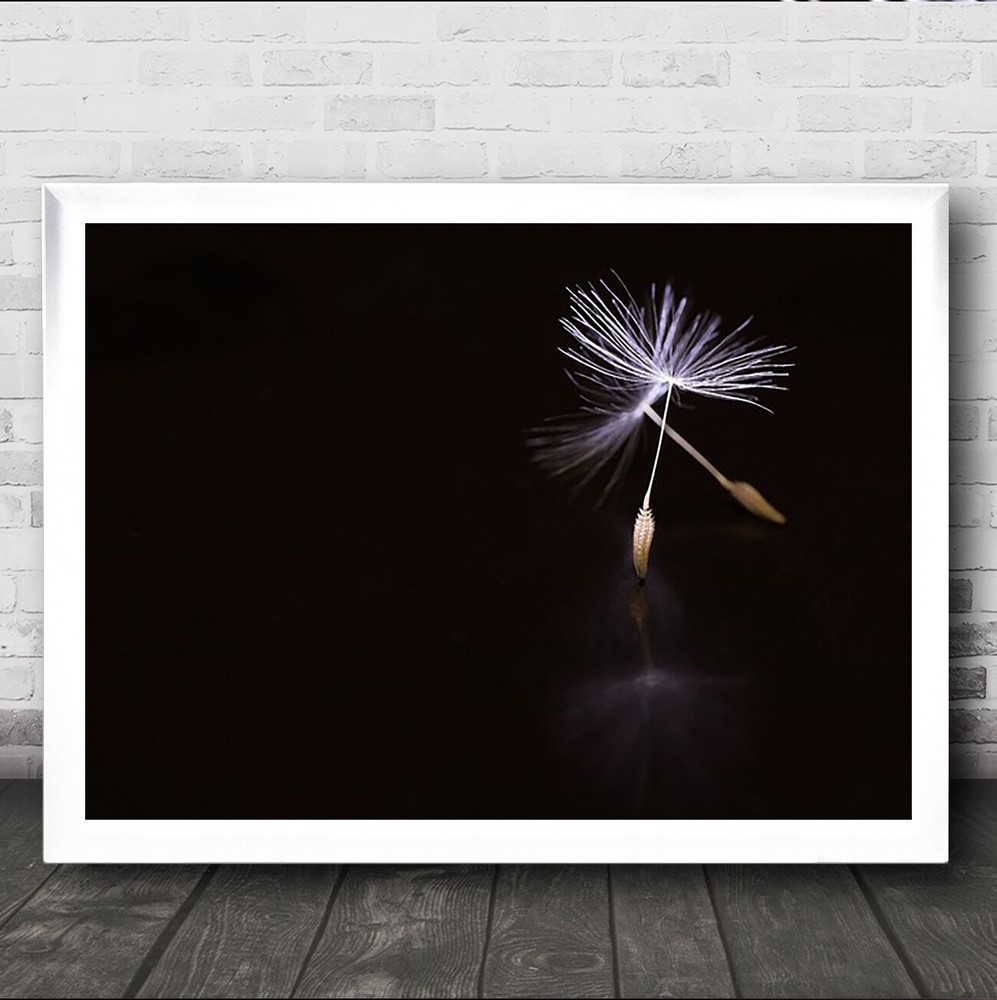 Ballet Dance Dancing Flower Reflection Light Japan Asia Wall Art Print