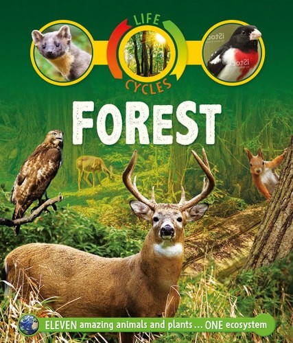 Life Cycles: Forest by Callery, Sean, Good Book