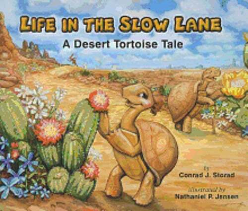 Life in the Slow Lane: A Desert Tortoise Tale by Conrad J Storad: Used