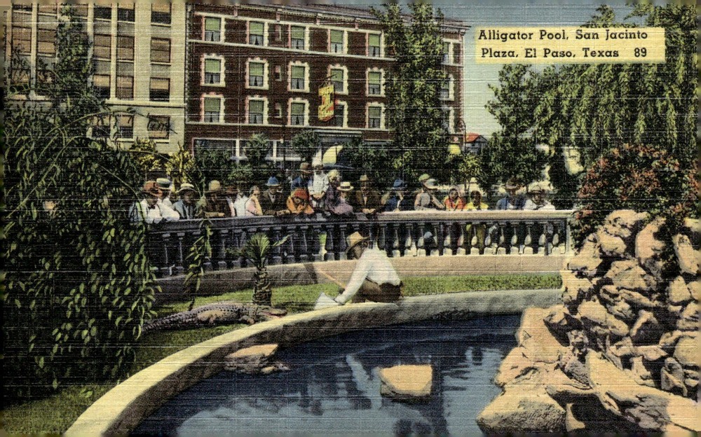 1940s San Jacinto Plaza El Paso Texas Alligator Pool Linen Tichnor Postcard