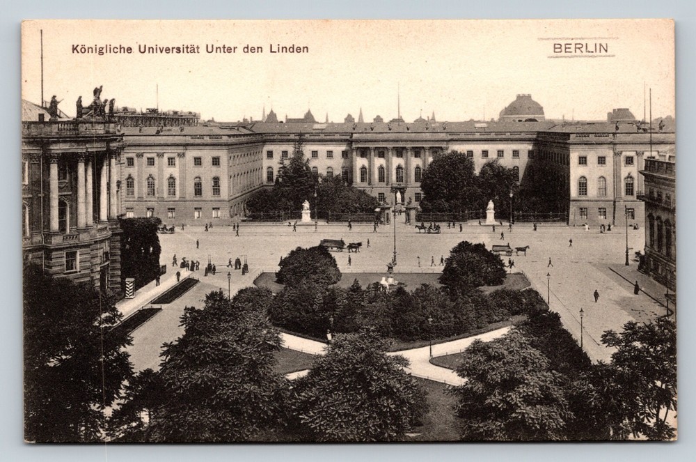 Berlin Germany Royal University Under The Linden Trees VINTAGE Postcard