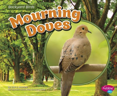 Mourning Doves, Paperback by Amstutz, Lisa J., Like New Used, Free shipping i...