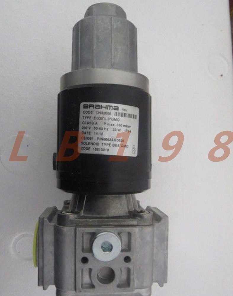 ONE NEW- BRAHMA EG25 L.3 GMO *yt
