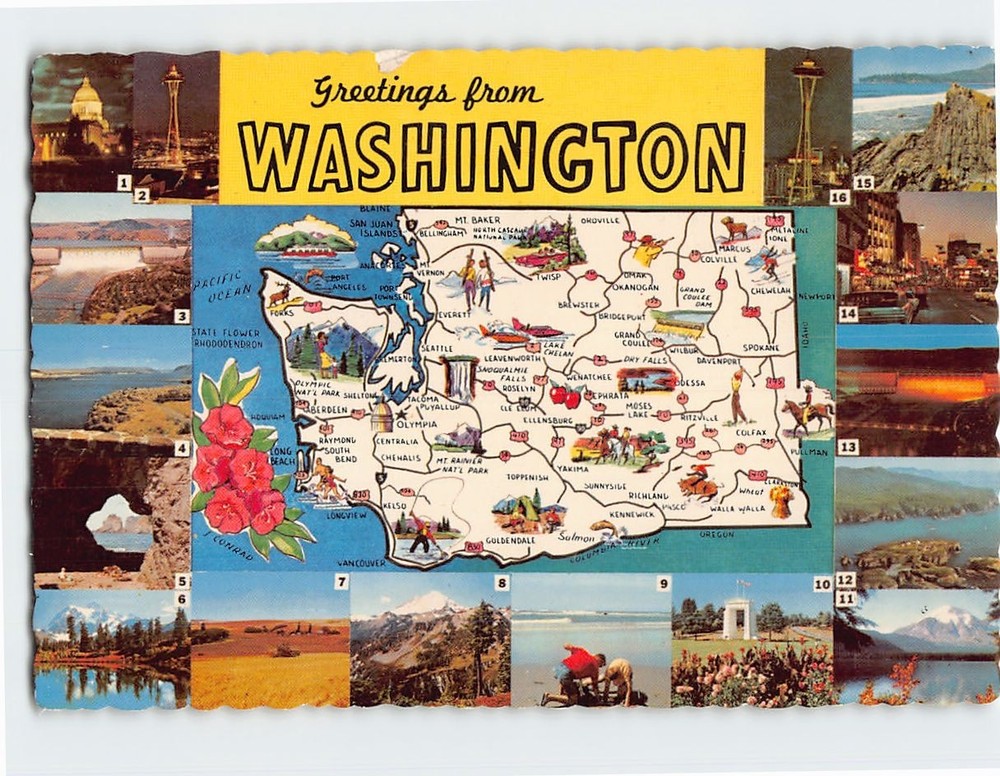 Postcard Greetings from Washington USA