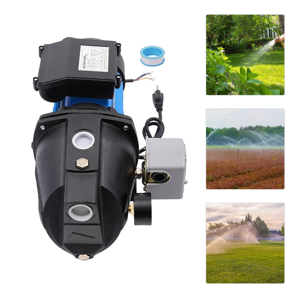 Water Pump With Pressure Switch Well Pump 0.75HP For Farm Irrigation 1