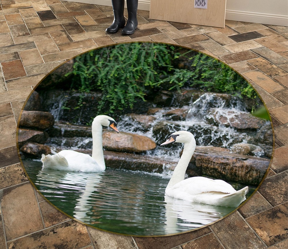 3D Two Cute Swans AHO186967 Animal Non Slip Rug Mat Elegant Photo Carpet Romy