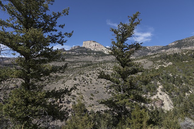 North Central Wyoming Big Horn County Vista 2015 Rocky Mountain Landscape