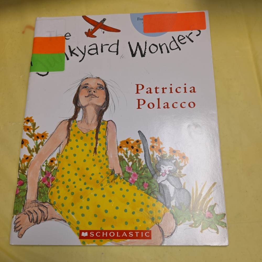 The Junkyard Wonders - Paperback By Patricia Polacco - GOOD