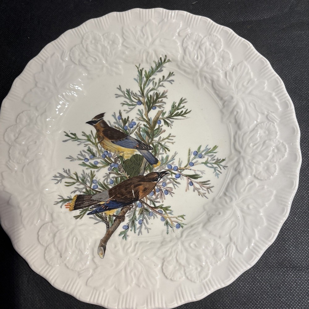 Vtg Alfred Meakin England Birds Of America 9” Plate